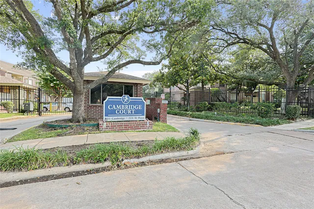 a view of a tennis ground with large trees