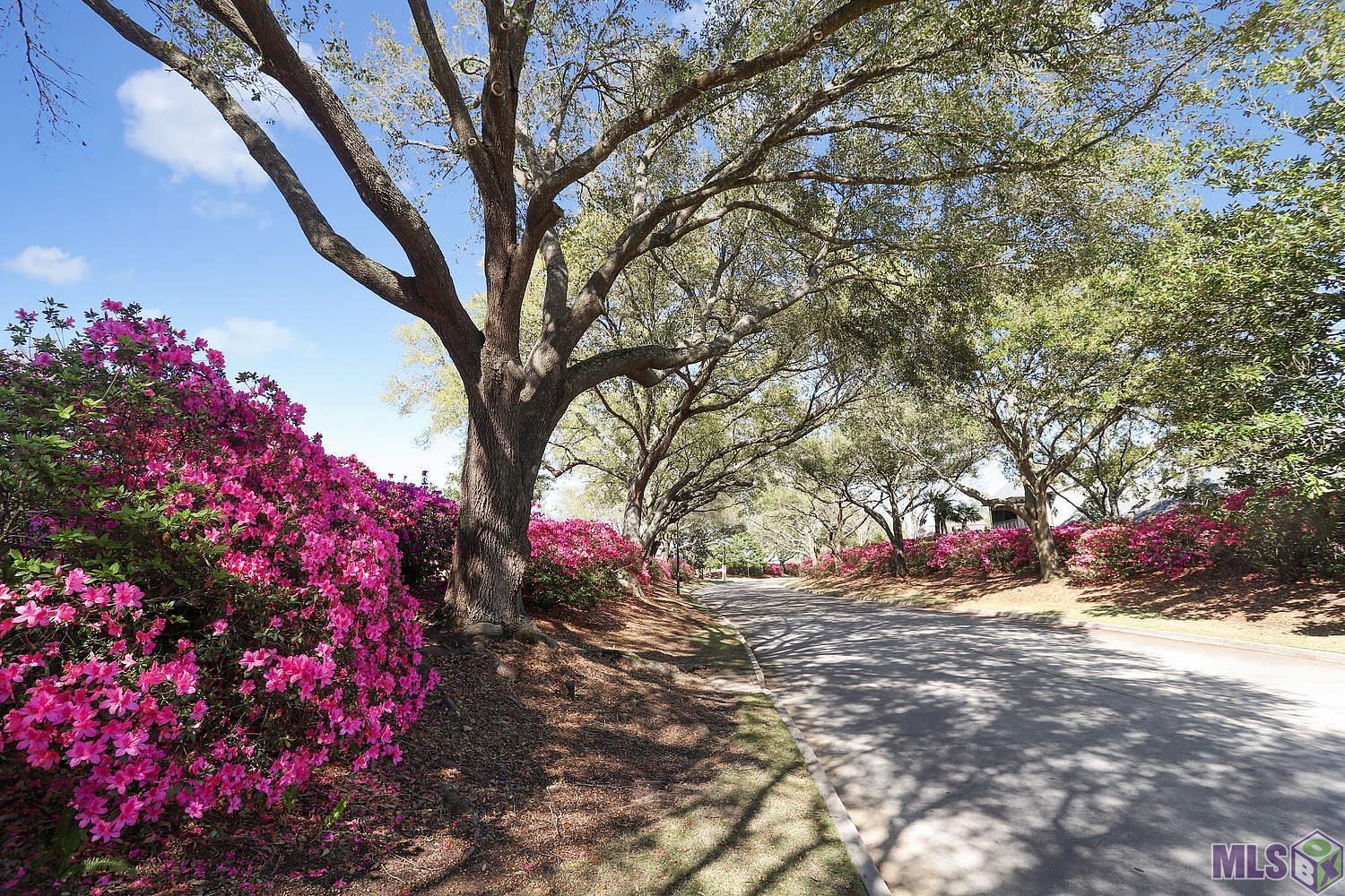 19423 Cape Hart Court St. George, LA 70809 - Photo 40 of 44