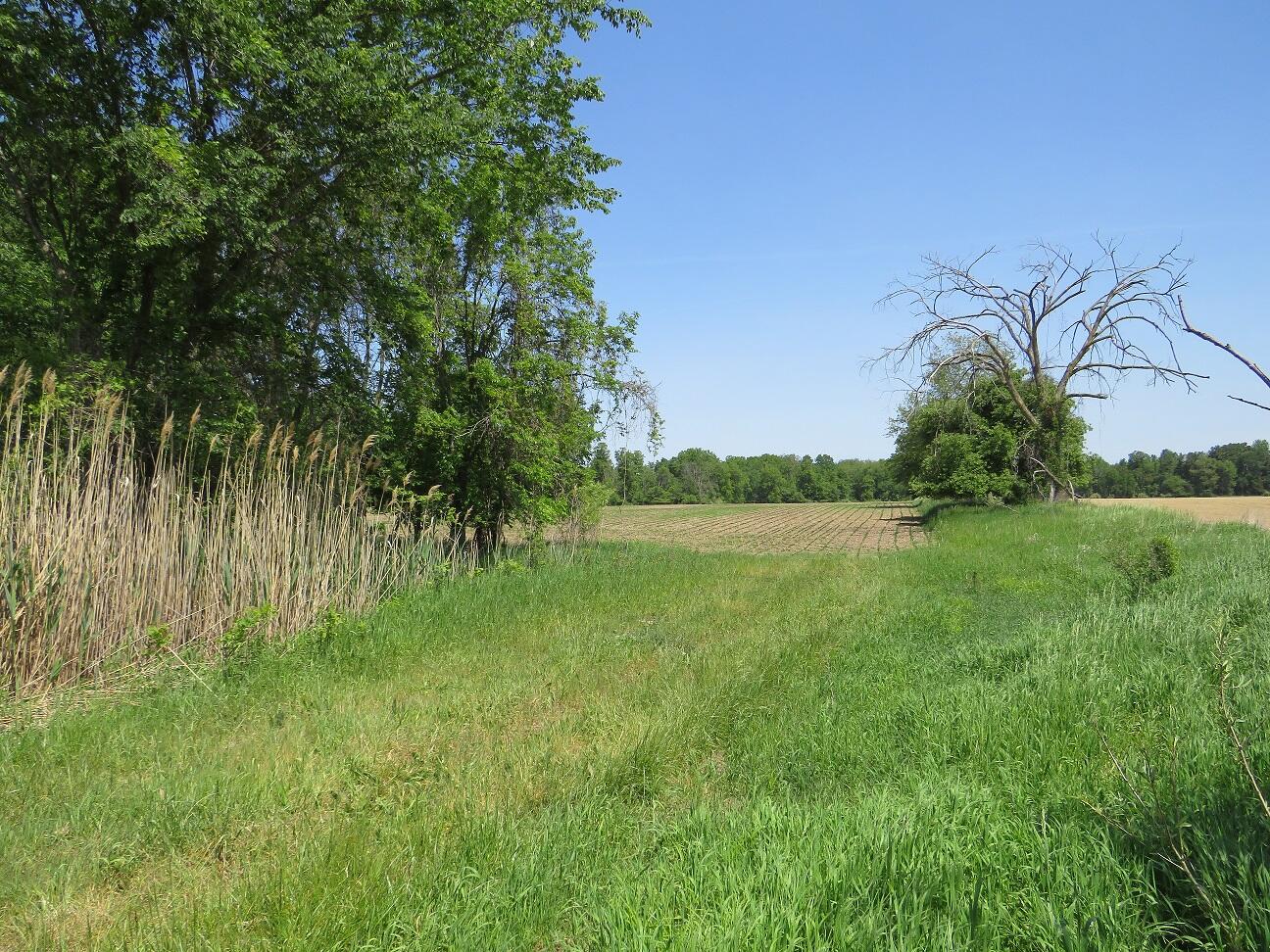 4670 Rescue Road Owendale, MI 48754 - Photo 79 of 97 IMG_6550