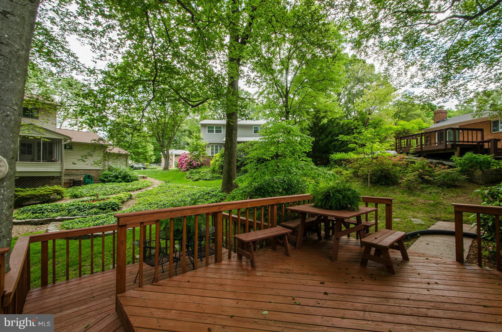 6803 Dante Court Springfield, VA 22152 - Photo 17 of 21 Exterior (Rear)