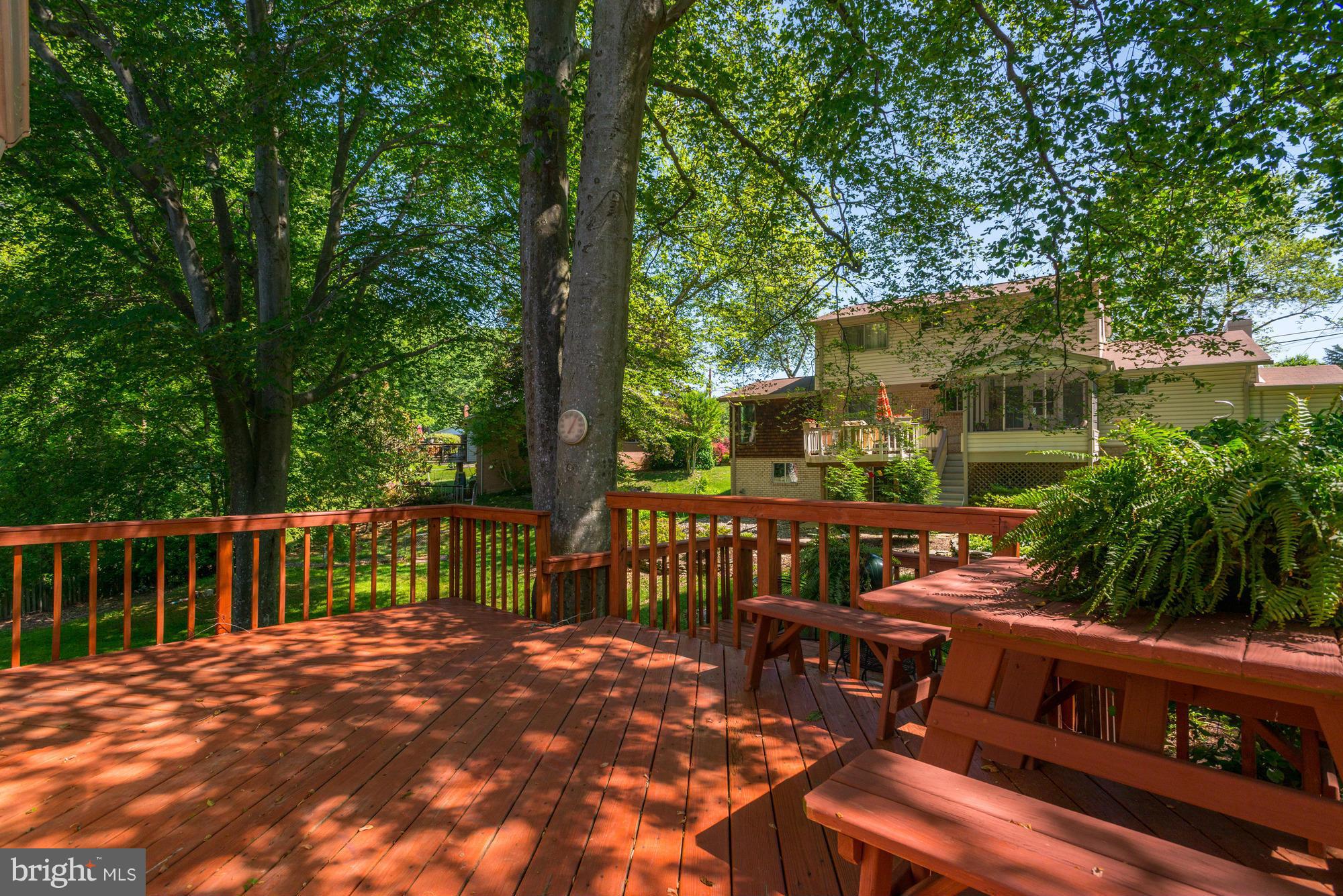 6803 Dante Court Springfield, VA 22152 - Photo 18 of 21 Exterior (Rear)