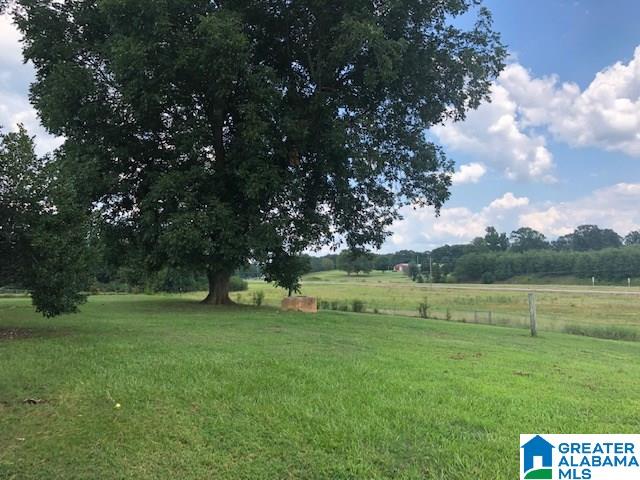 1036 New Lincoln Road Talladega, AL 35160 - Photo 16 of 18