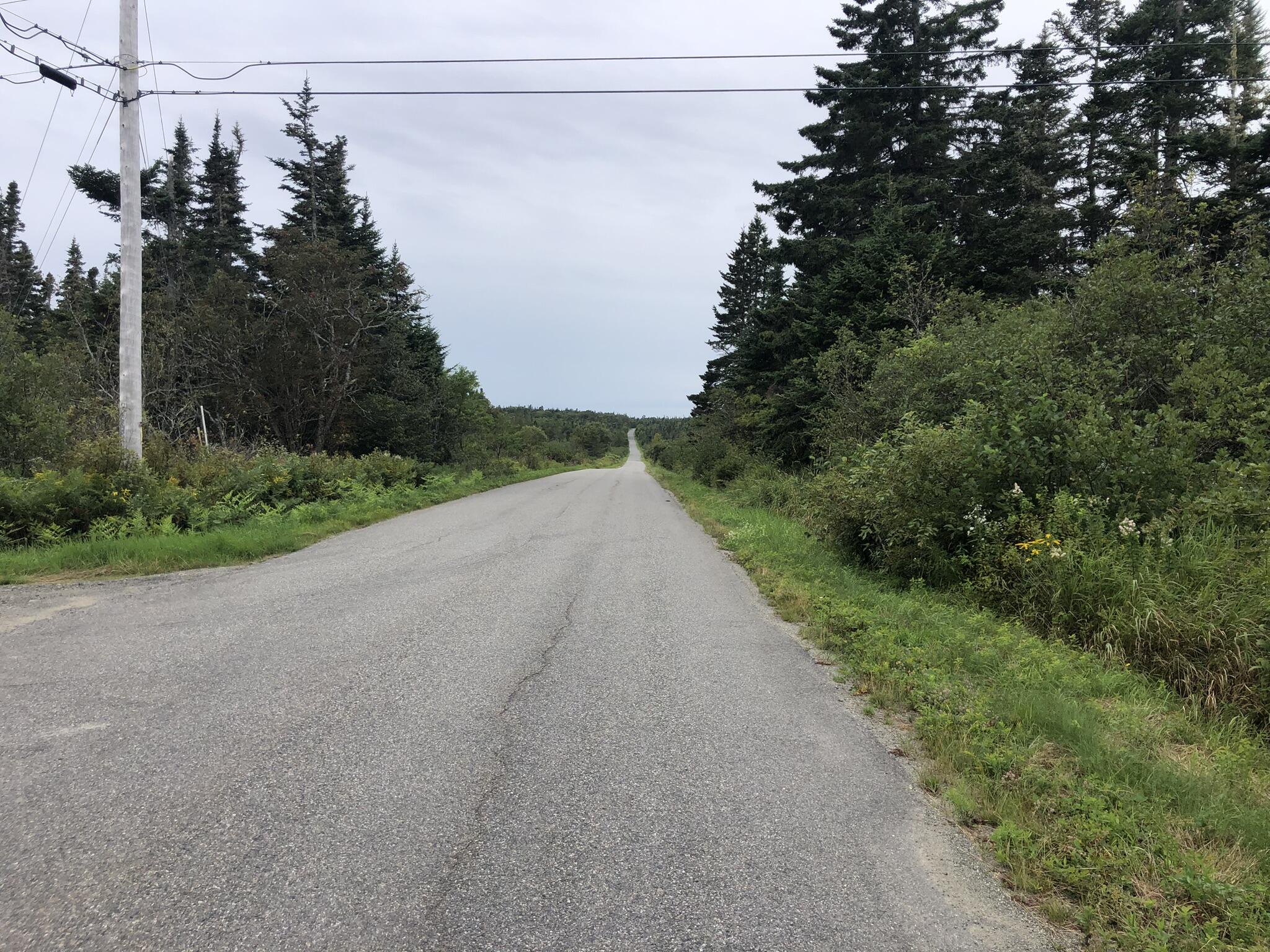 Lot25-a-1 Boot Cove Road Lubec, ME 04652 - Photo 30 of 34 499EA1A6-4E25-47D1-9716-3287C3D36CCF