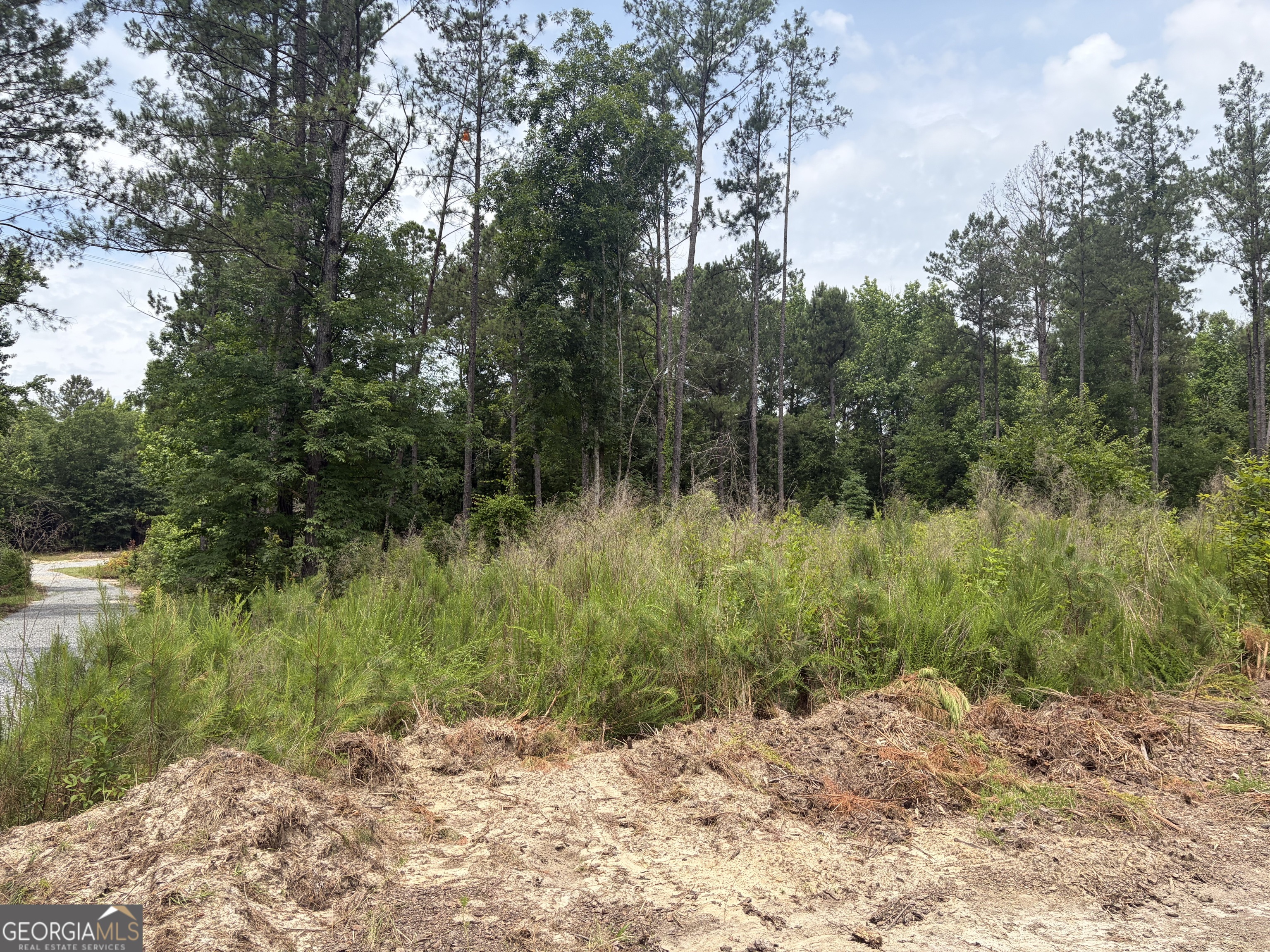 5 Sunhill Grange Road Sandersville, GA 31018 - Photo 3 of 8