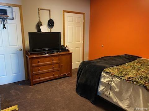 12300 Williams Road Gaines, MI 48436 - Photo 20 of 25 Basement Bedroom.jpg