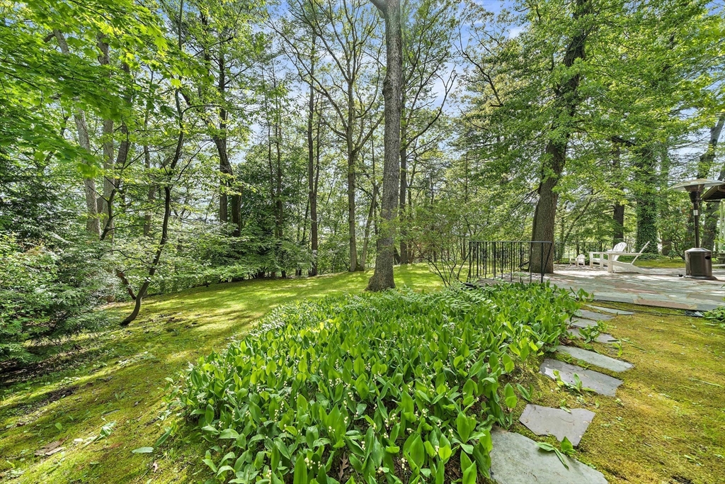 19 Ridge Road Waban, MA 02468 - Photo 29 of 34