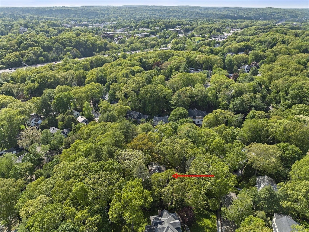 19 Ridge Road Waban, MA 02468 - Photo 31 of 34