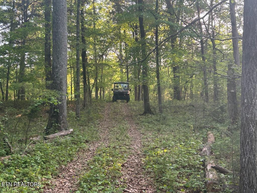 481 Loop Road Rockwood, TN 37854 - Photo 35 of 52 Enjoy nature on an ATV