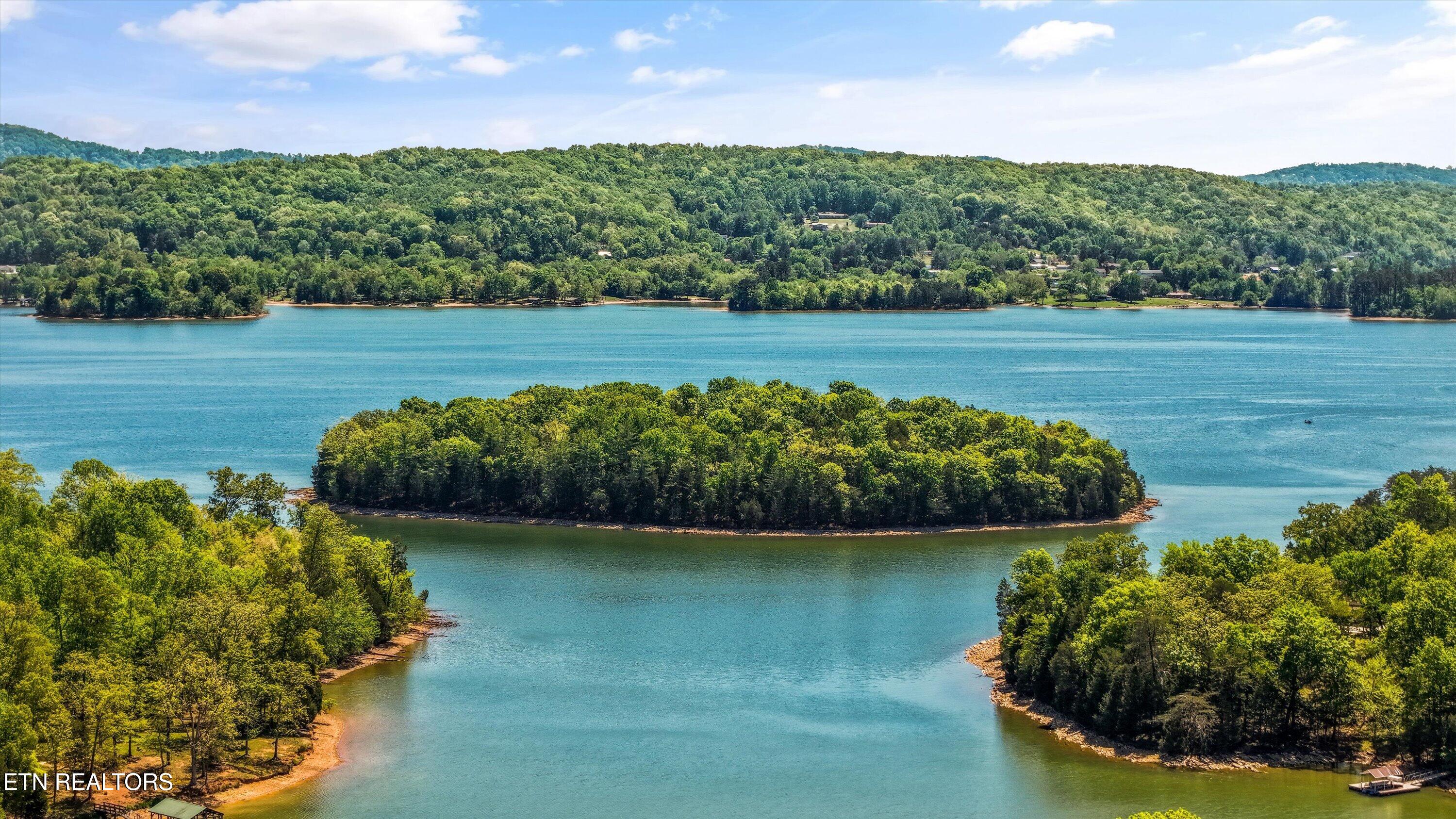 481 Loop Road Rockwood, TN 37854 - Photo 37 of 52 Watts Bar Lake