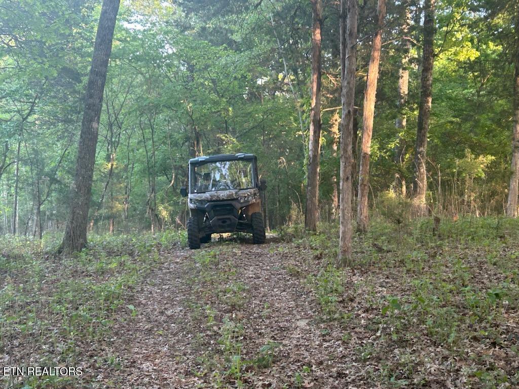 481 Loop Road Rockwood, TN 37854 - Photo 41 of 52 Ride the Trails
