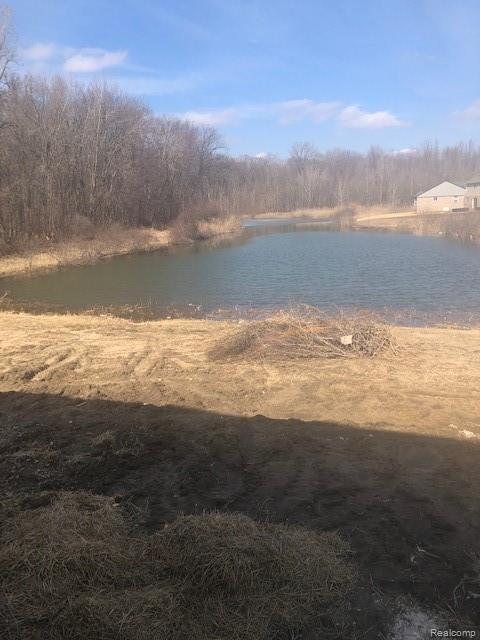 Serene Pond Setting