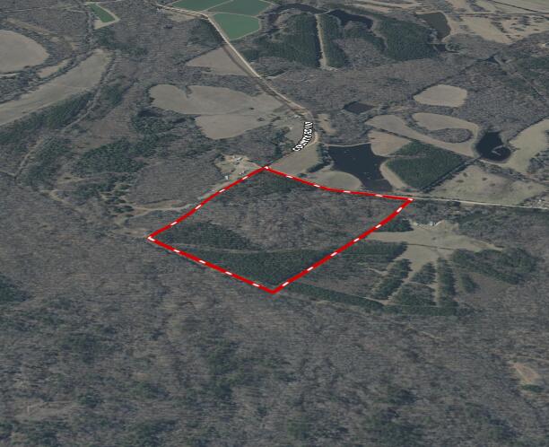 110 County Road Houston, MS 38851 - Photo 25 of 25 Gallery Image 25