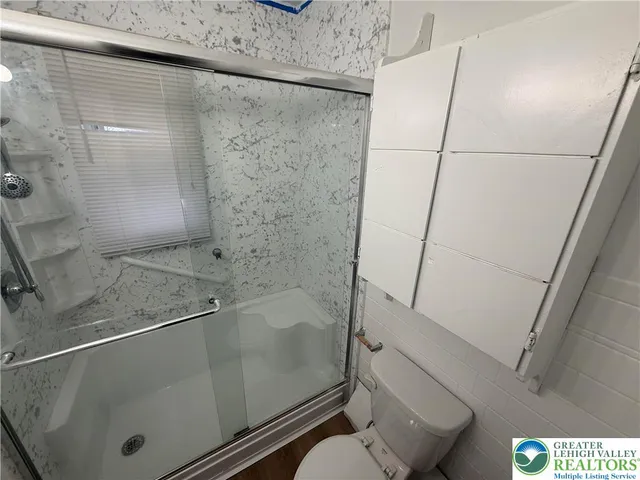 a bathroom with a shower and toilet