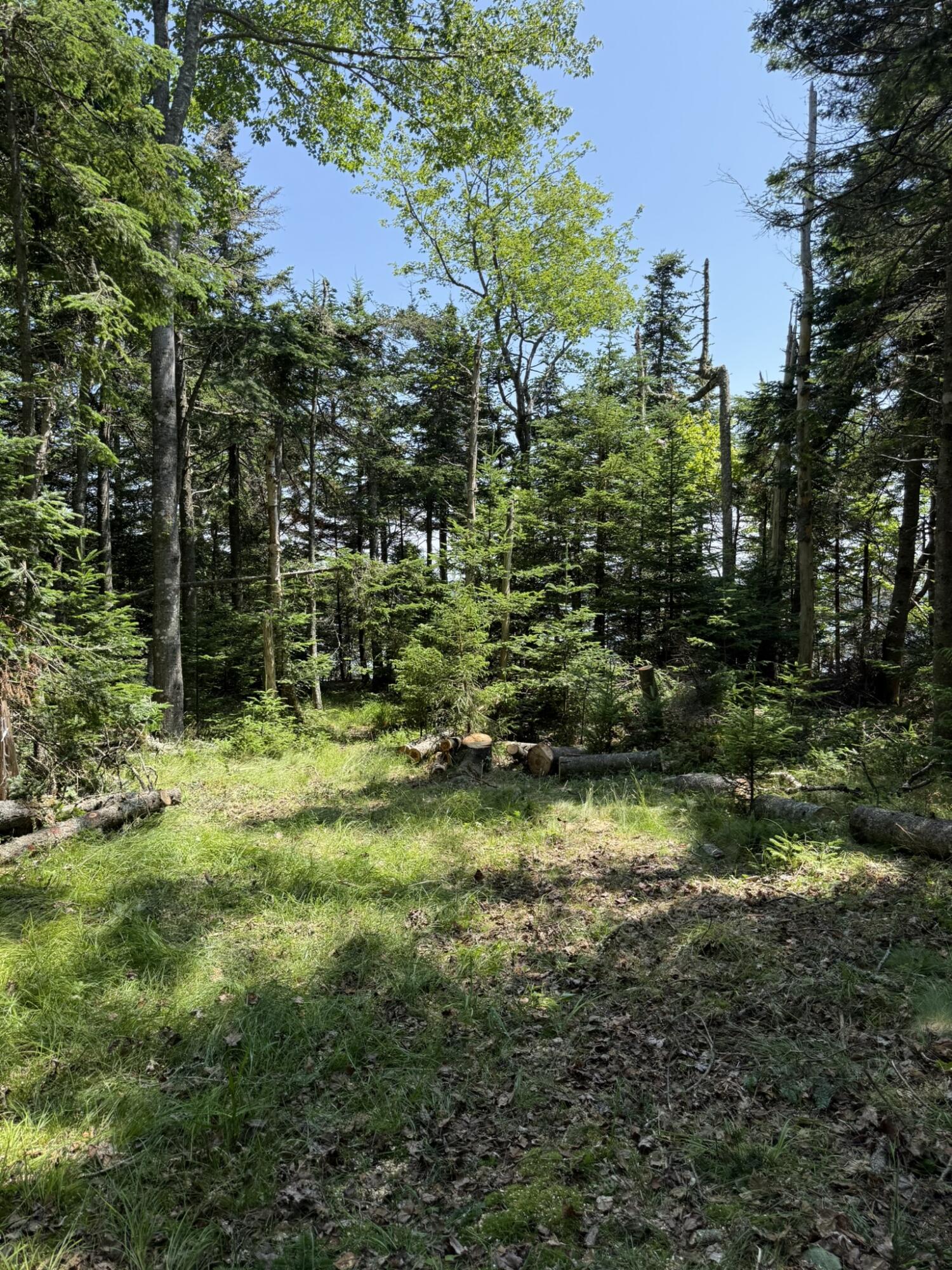 M7-l 5 6 Pineo Point Road Harrington, ME 04643 - Photo 30 of 45 IMG_5346