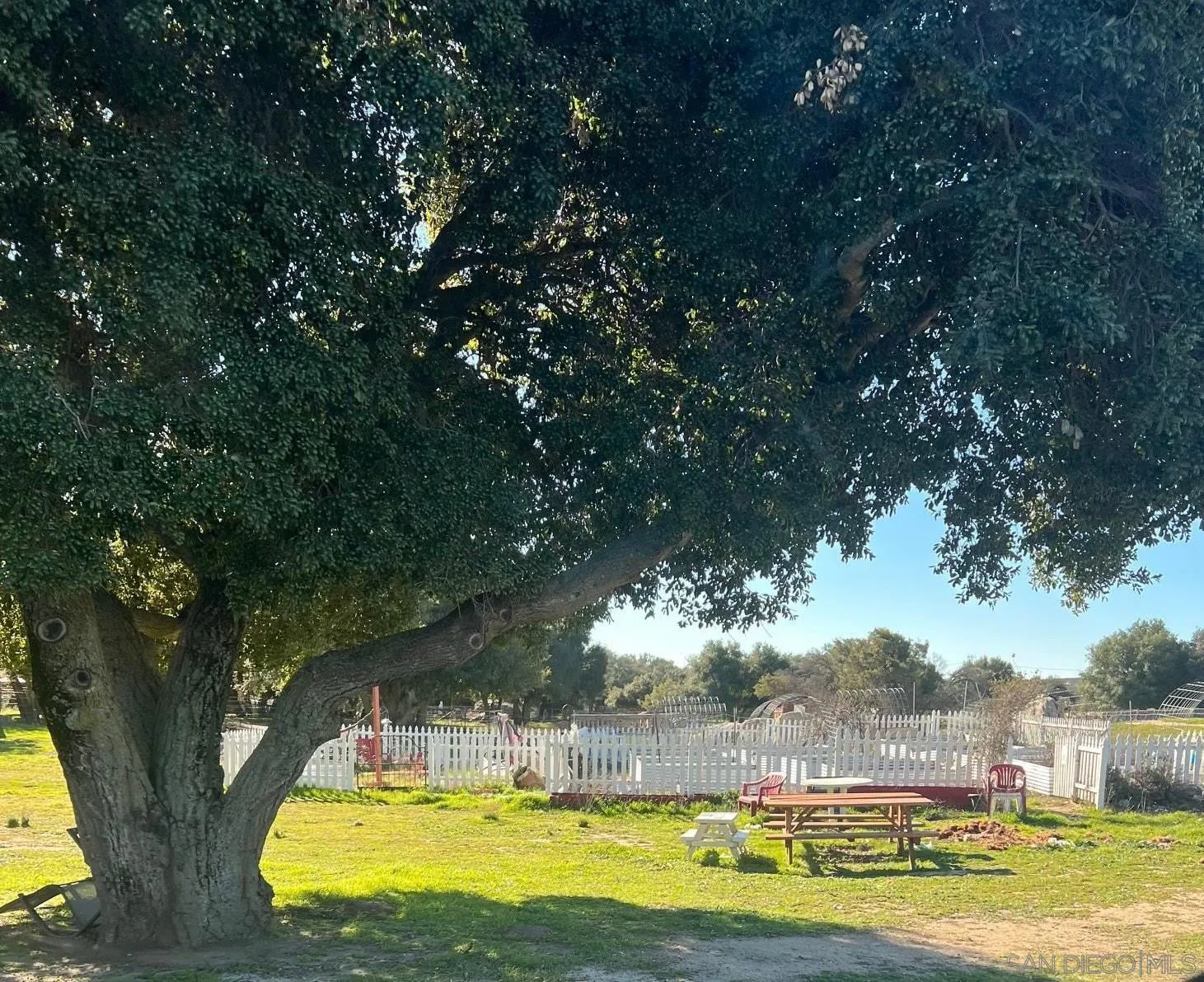 1122 Tierra Del Sol Road Boulevard, CA 91905 - Photo 17 of 21