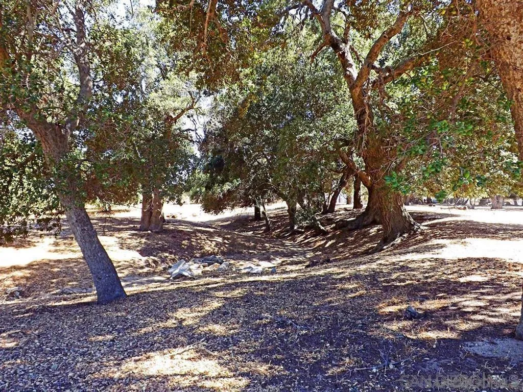 1122 Tierra Del Sol Road Boulevard, CA 91905 - Photo 24 of 26 a view of tree