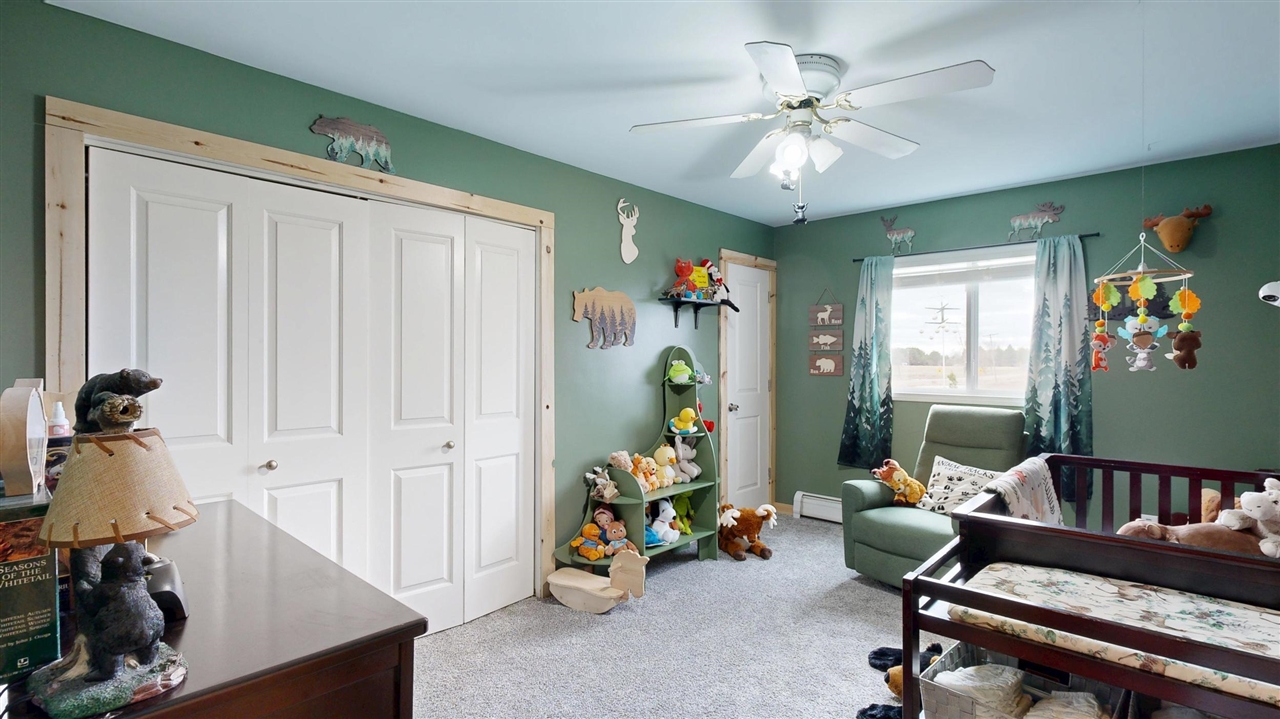 91 North Doran Road Imlay City, MI 48444 - Photo 49 of 62