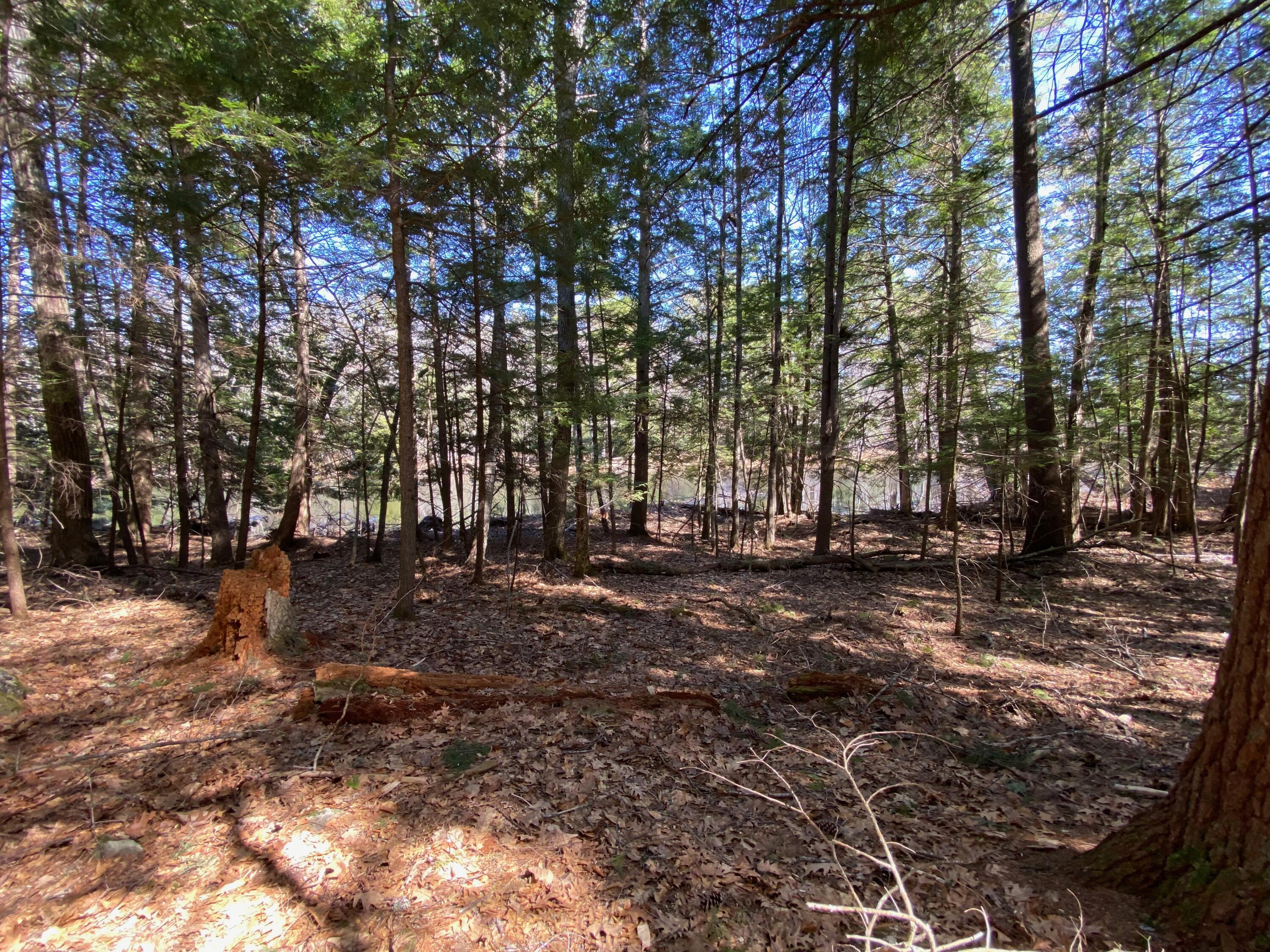 Lot 2 Marble Point Rd Mount Mount Vernon, ME 04352 - Photo 18 of 42 BUILDING LOT