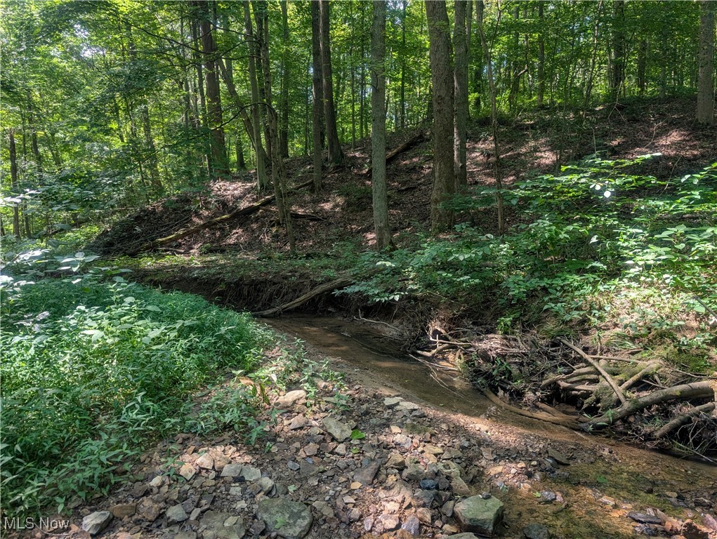 Toll Gate Road Northwest Somerset, OH 43783 - Photo 30 of 40 View of nature