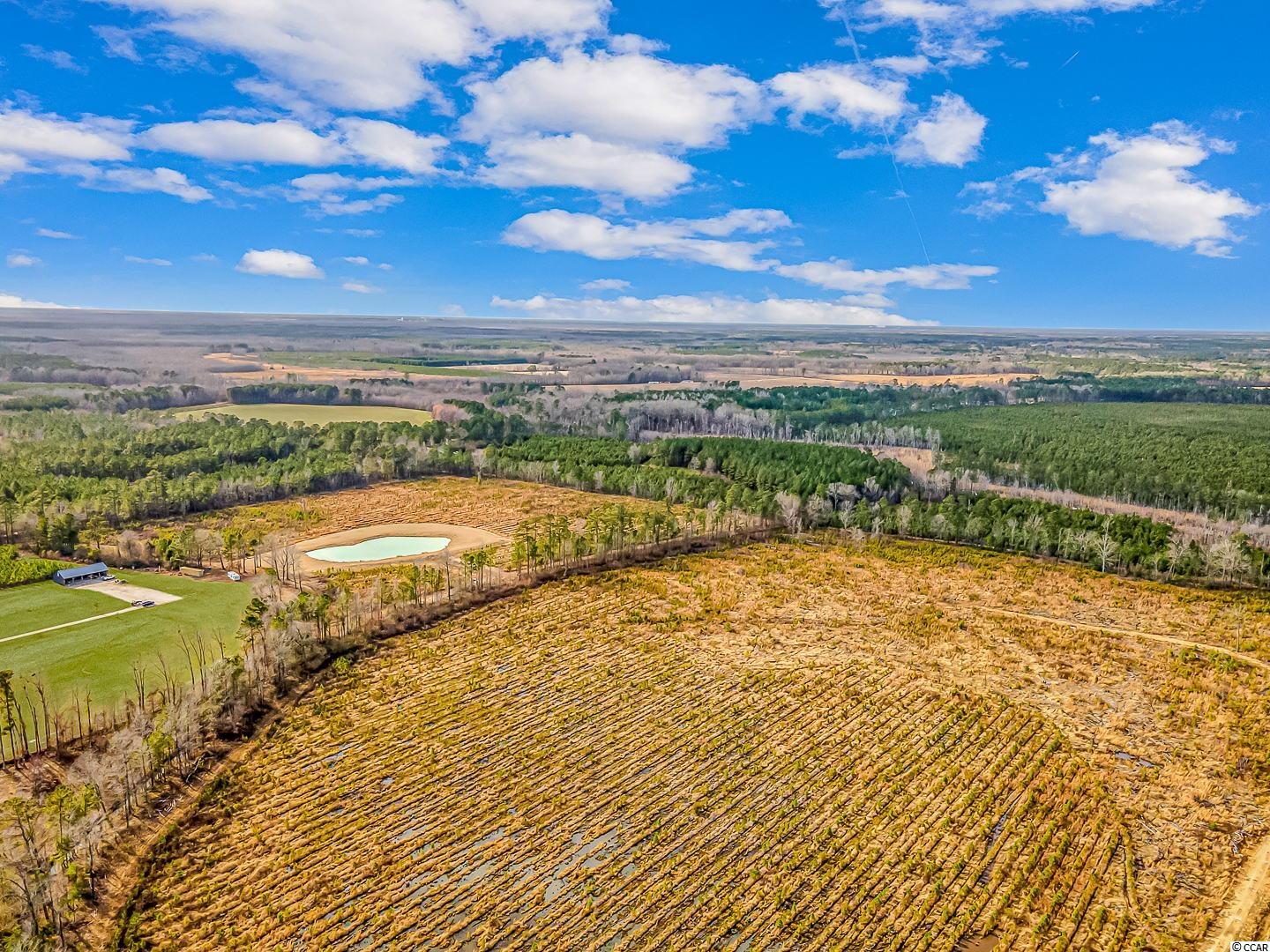 741 Wahee Road Marion, SC 29571 - Photo 4 of 10 Gallery Image 4