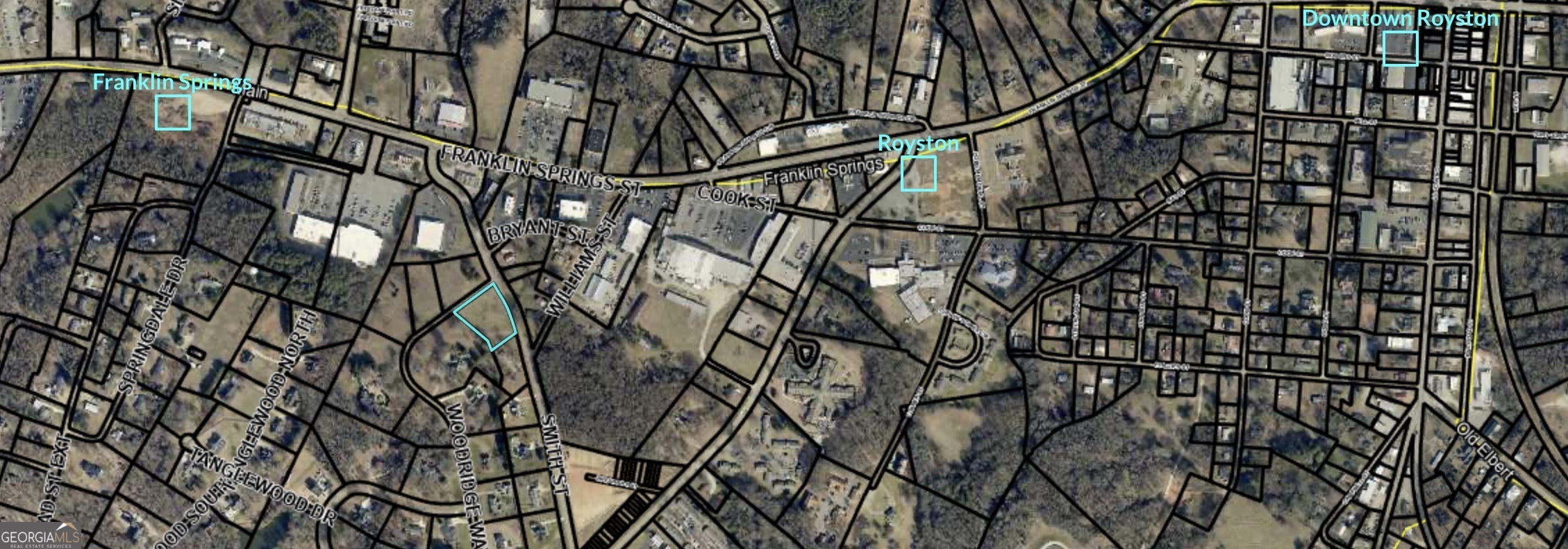 0 Smith Street Royston, GA 30662 - Photo 8 of 8 a picture of a tree