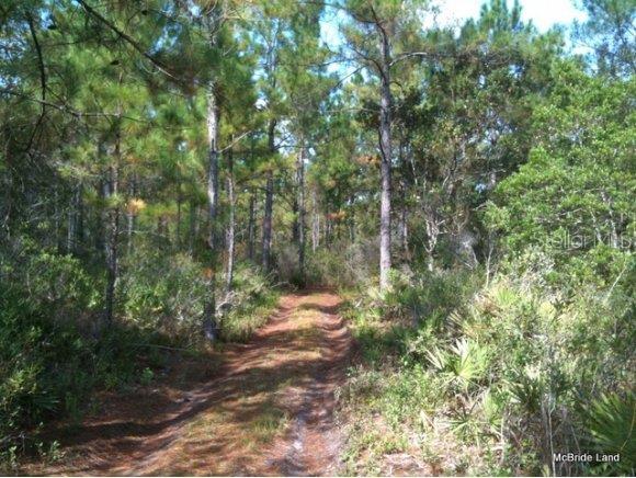 0 Southeast 24th Street Road Silver Springs, FL 34488 - Photo 1 of 1 Primary Photo