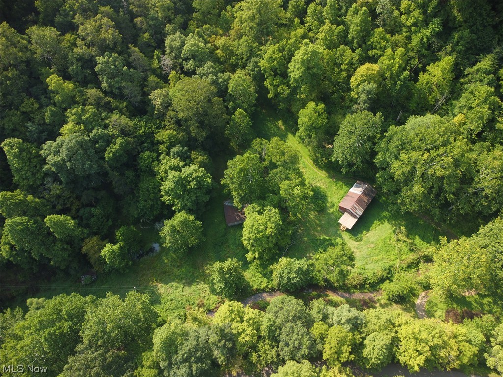1700 Back Fork Road Big Springs, WV 26137 - Photo 7 of 16