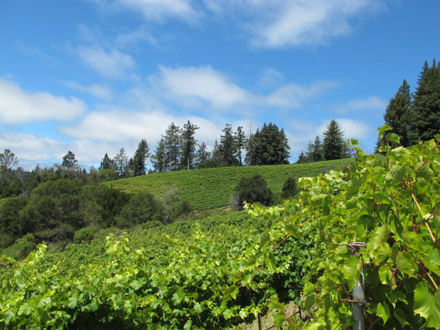2701 Fern Flat Road Aptos, CA 95003 - Photo 11 of 12 Gallery Image 11