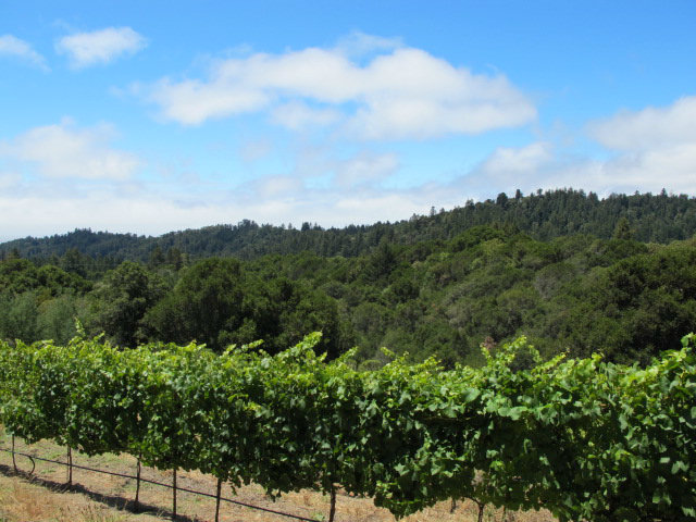 2701 Fern Flat Road Aptos, CA 95003 - Photo 12 of 12 Gallery Image 12