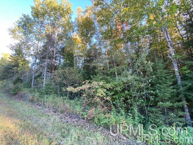 Tbd Chapman Road Niagara, WI 54151 - Photo 2 of 8