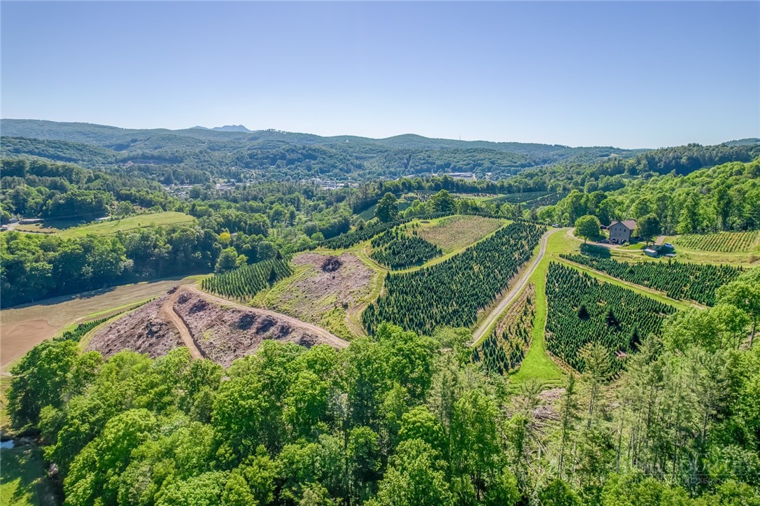 473 Cow Camp Road Newland, NC 28657 - Photo 48 of 49
