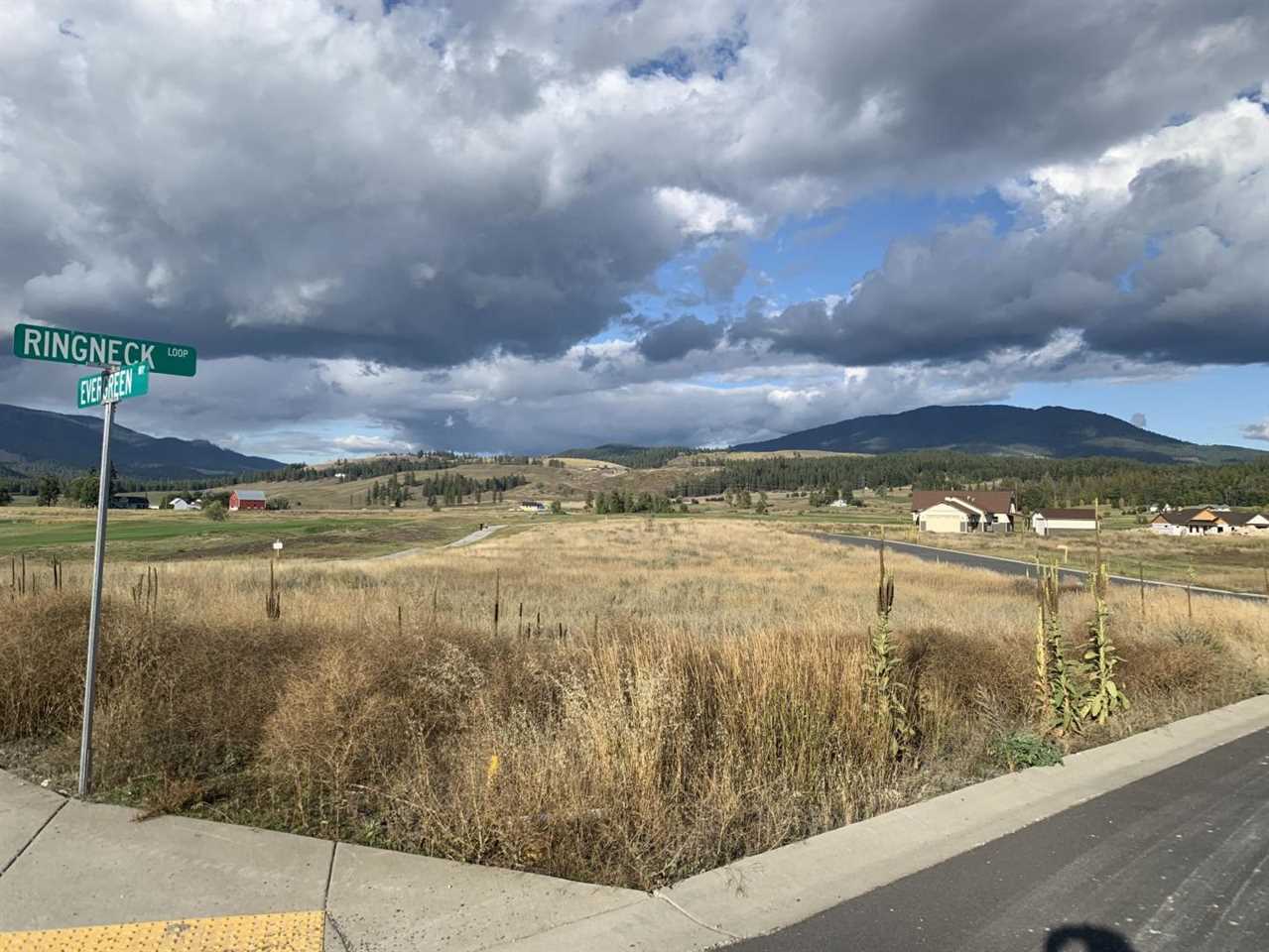 2136 Ringneck Loop Colville, WA 99114 - Photo 14 of 14