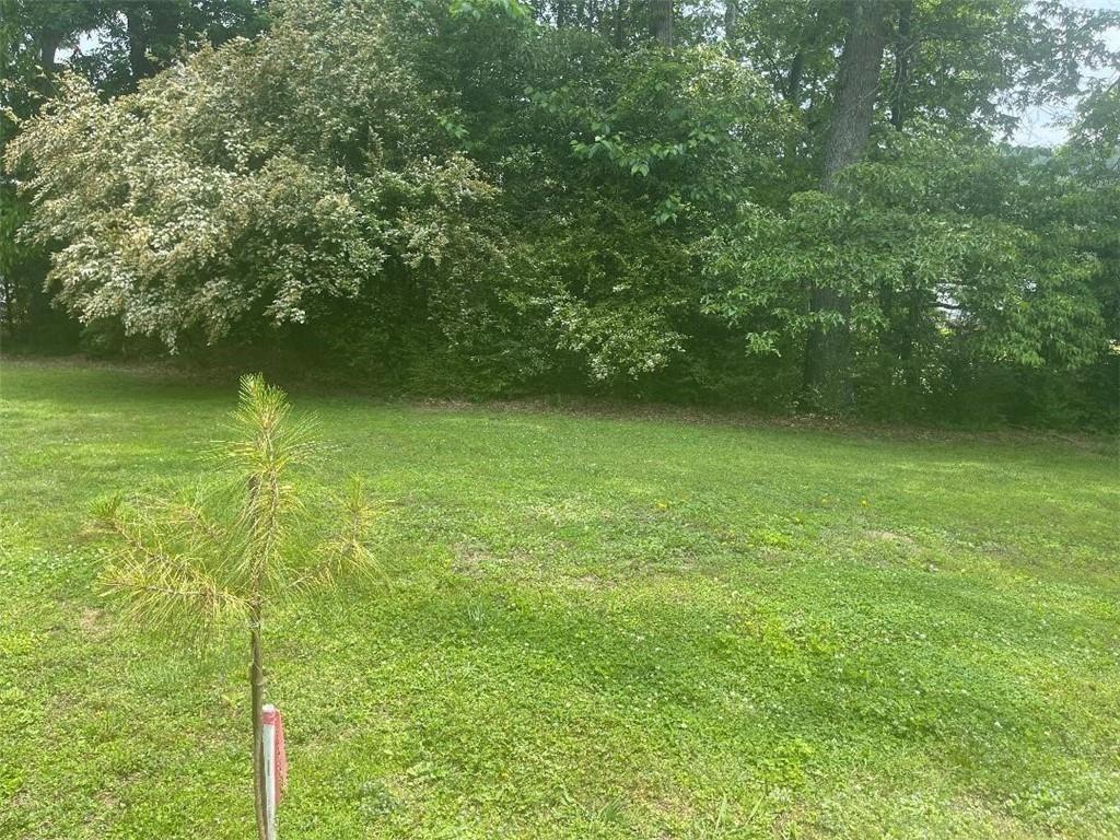 0 Curtis Circle Calhoun, GA 30701 - Photo 2 of 3