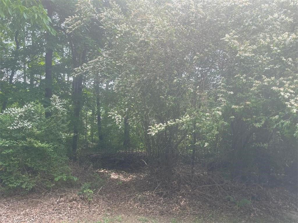 0 Curtis Circle Calhoun, GA 30701 - Photo 3 of 3