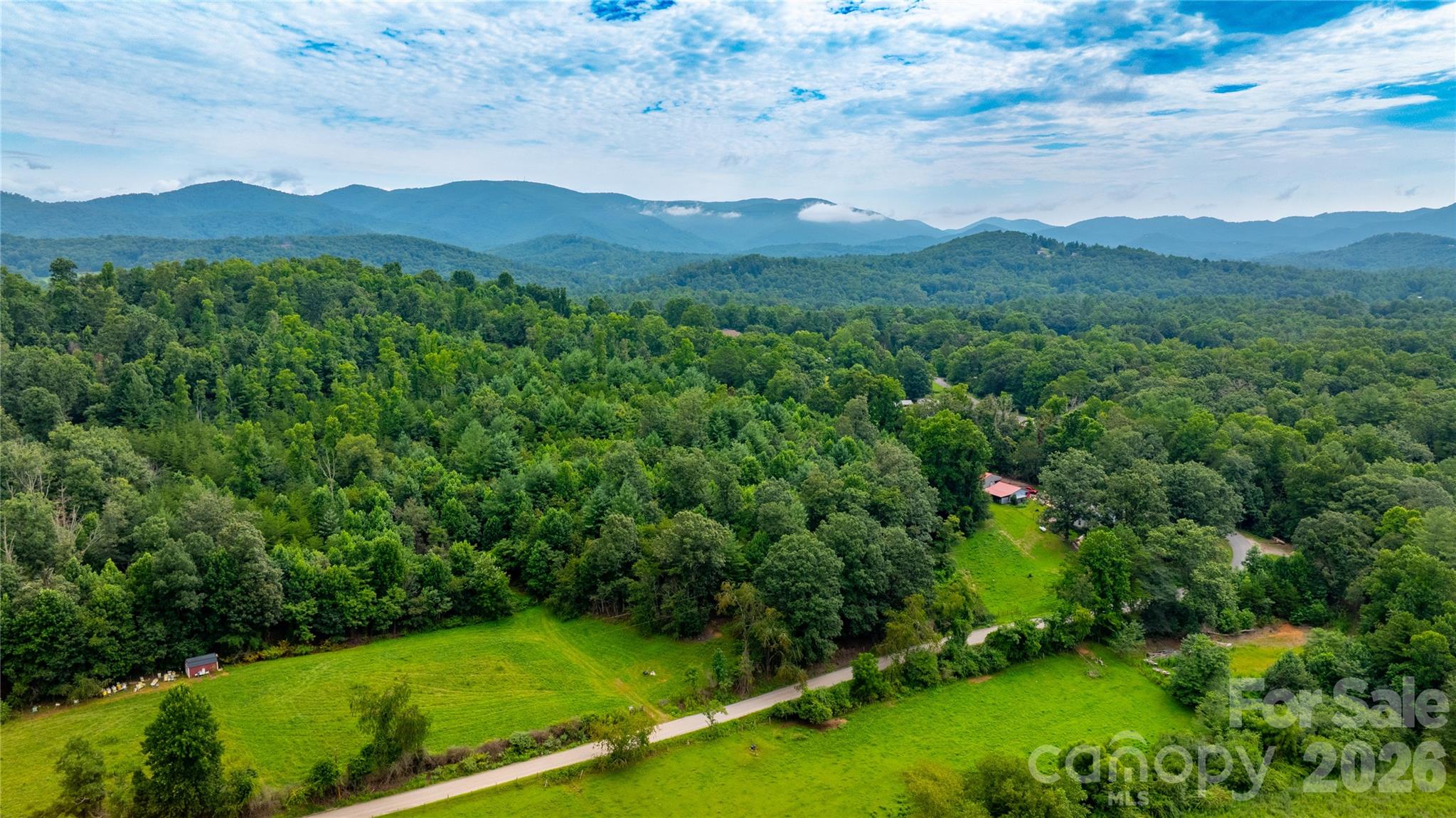 99999 Bob Barnwell Road Fletcher, NC 28732 - Photo 8 of 29 Gallery Image 8