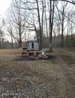 522 Green Road Ellerbe, NC 28338 - Photo 14 of 22 Shed