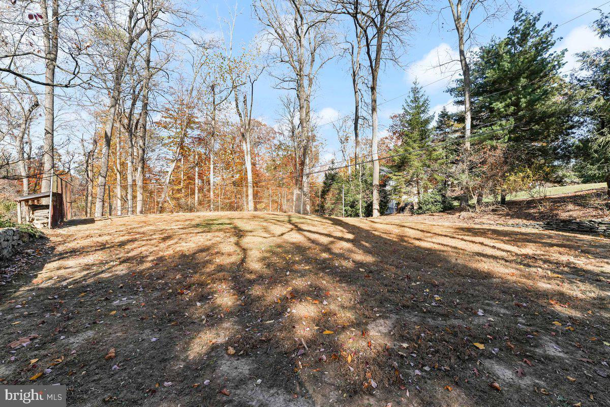 134 Lakeview Drive Media, PA 19063 - Photo 45 of 46 Flat Backyard