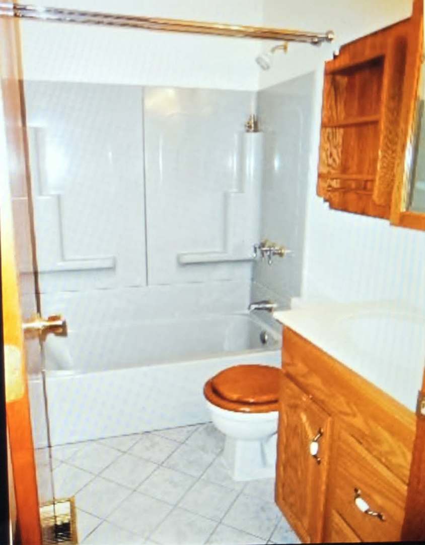 1733 Howe Lane Hanover Park, IL 60133 - Photo 11 of 14