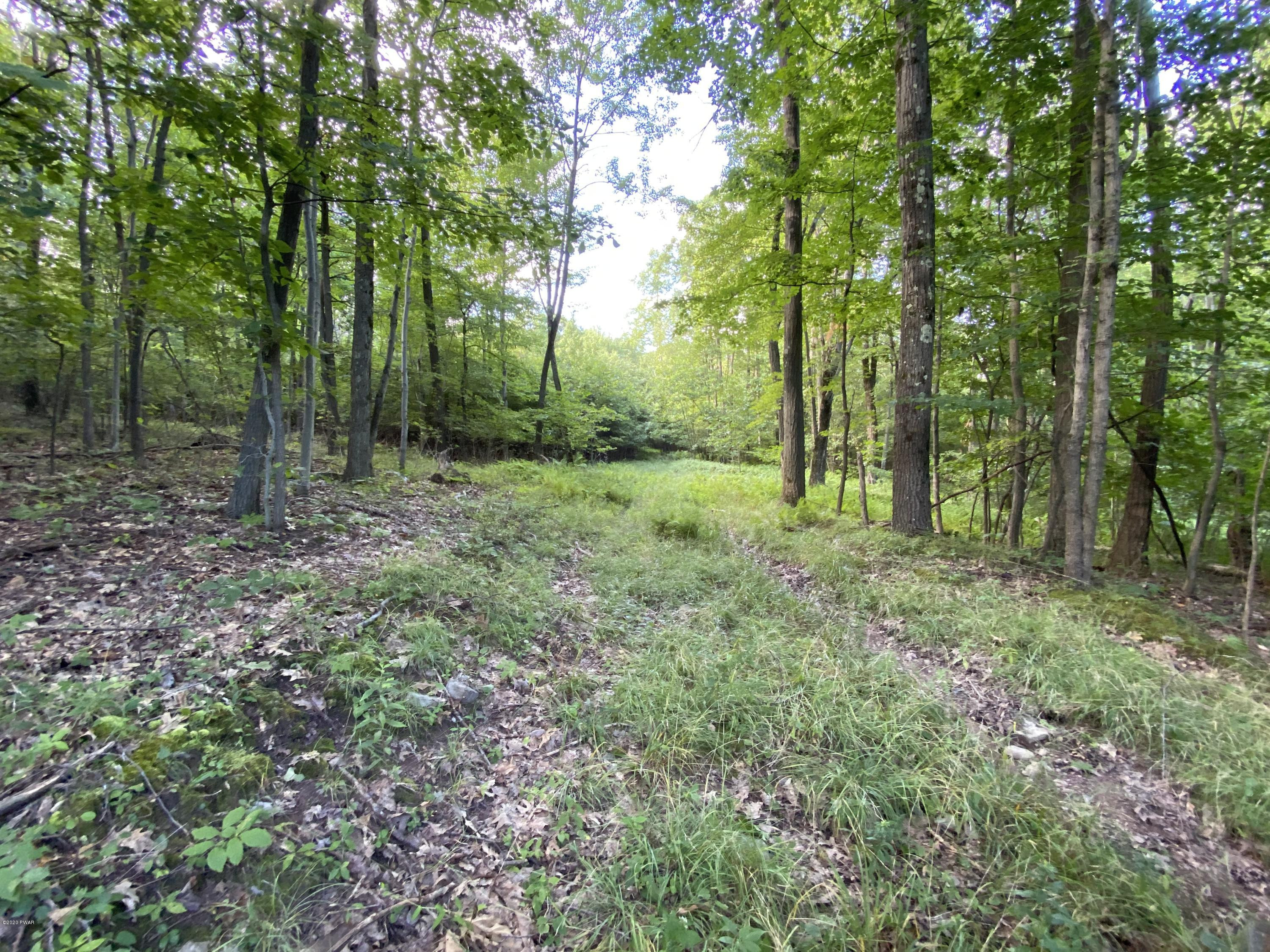 Mountain Road Lake Ariel, PA 18436 - Photo 2 of 12