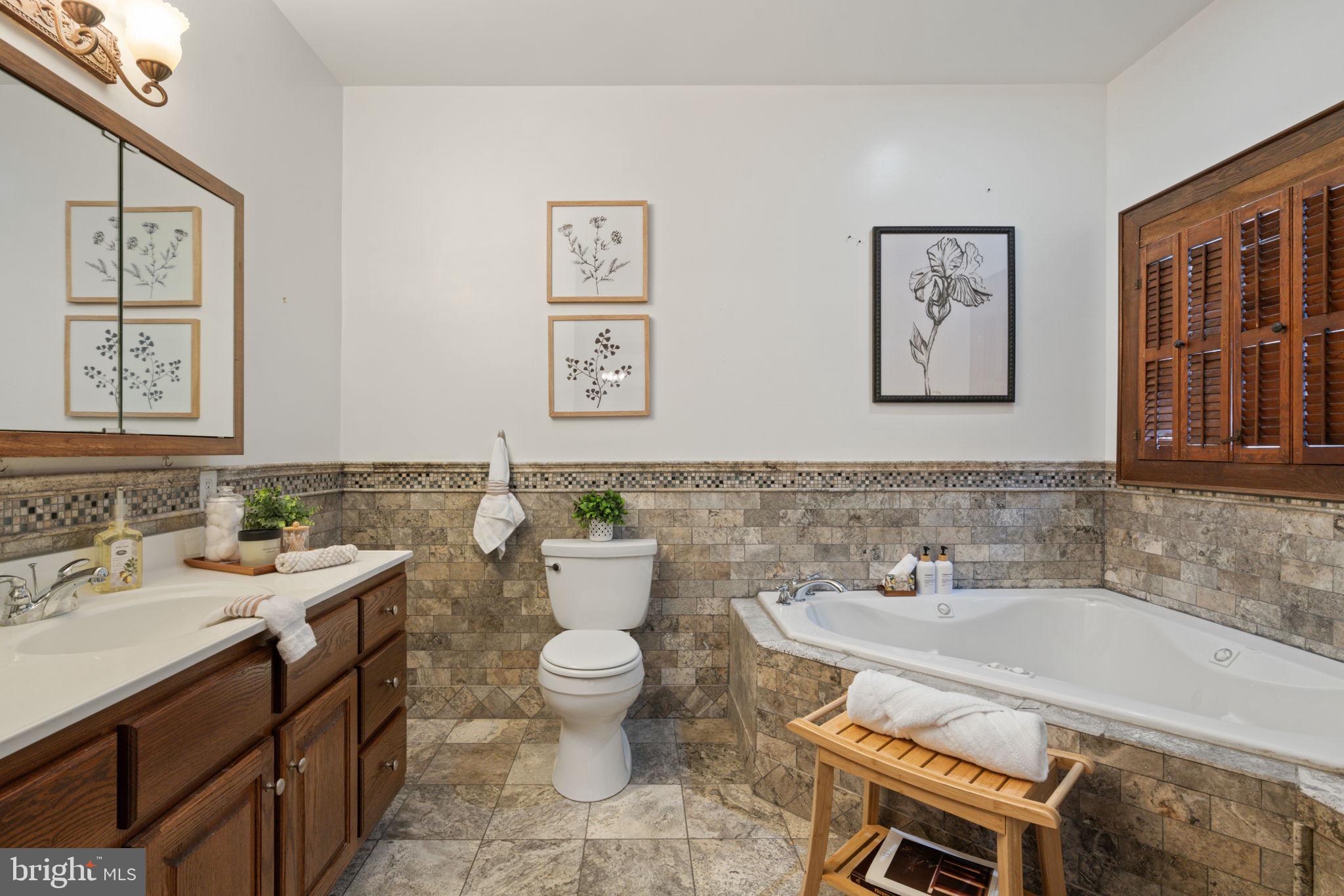 4257 Cabin Road Reva, VA 22735 - Photo 24 of 102 Owners en-suite luxury bath