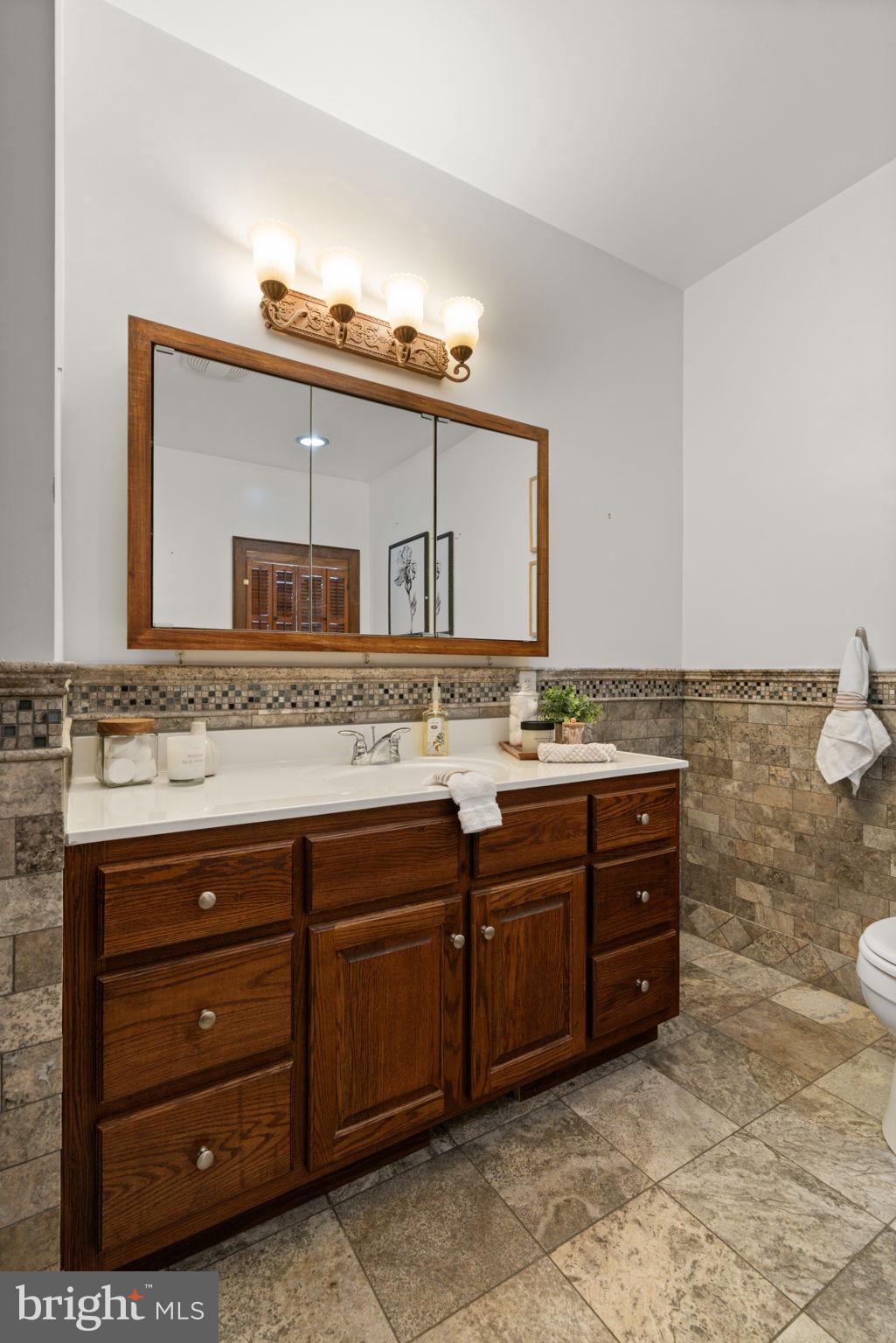 4257 Cabin Road Reva, VA 22735 - Photo 25 of 102 Owners en-suite luxury bath