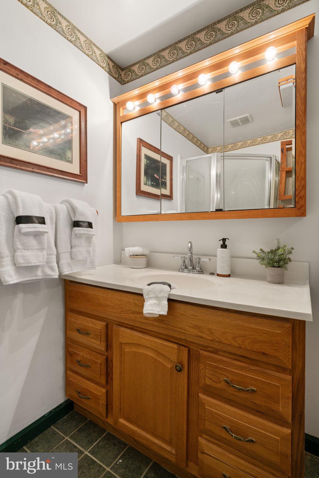 4257 Cabin Road Reva, VA 22735 - Photo 31 of 102 Main level hall bath