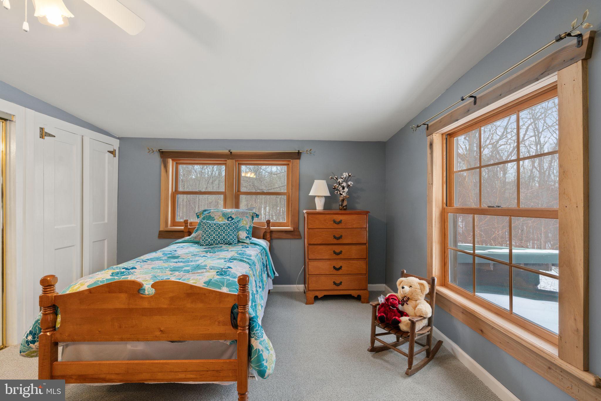 4257 Cabin Road Reva, VA 22735 - Photo 57 of 102 1st side upper level bedroom 2