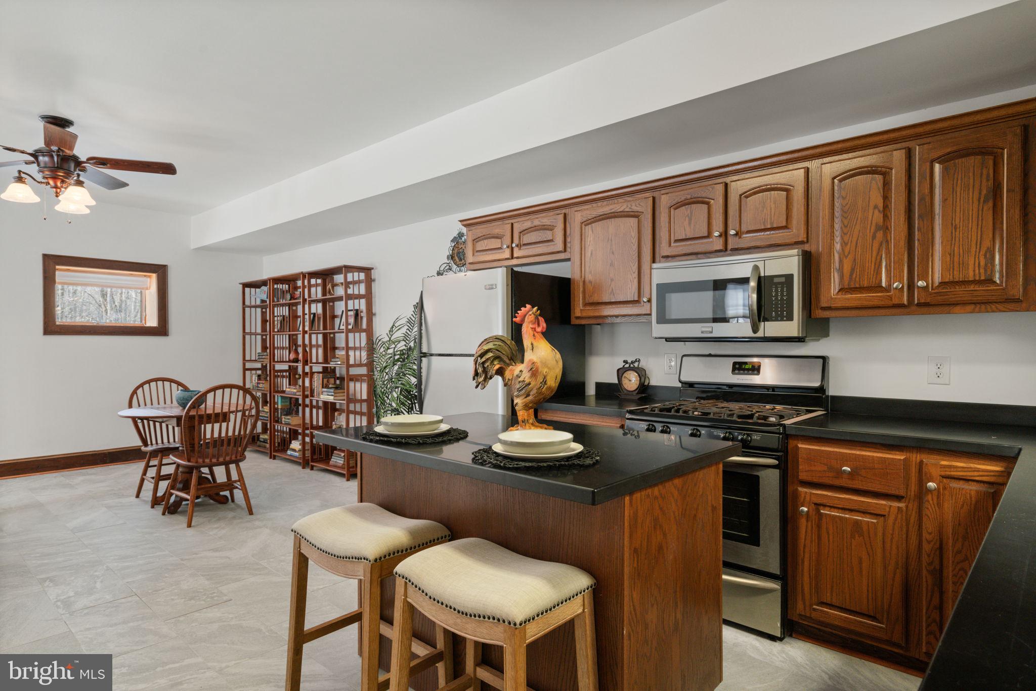 4257 Cabin Road Reva, VA 22735 - Photo 69 of 102 Lower level -1 bedroom apartment/kitchen w/island