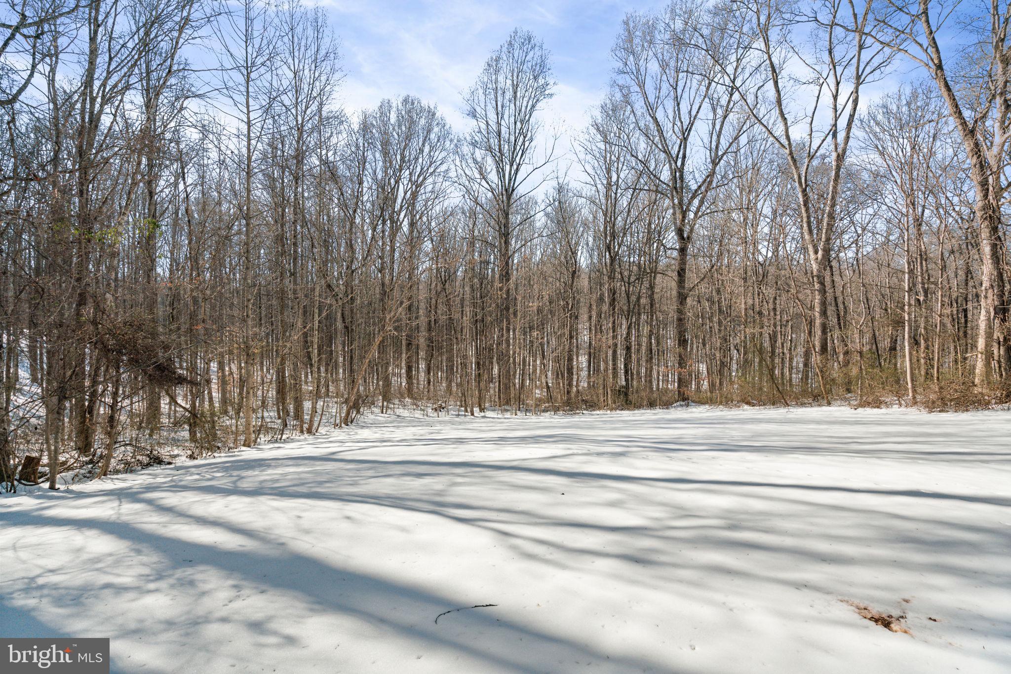 4257 Cabin Road Reva, VA 22735 - Photo 92 of 102 Gallery Image 92