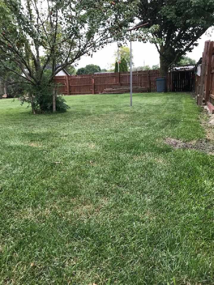 515 South 12th Street Rochelle, IL 61068 - Photo 19 of 25 a view of a backyard with large trees