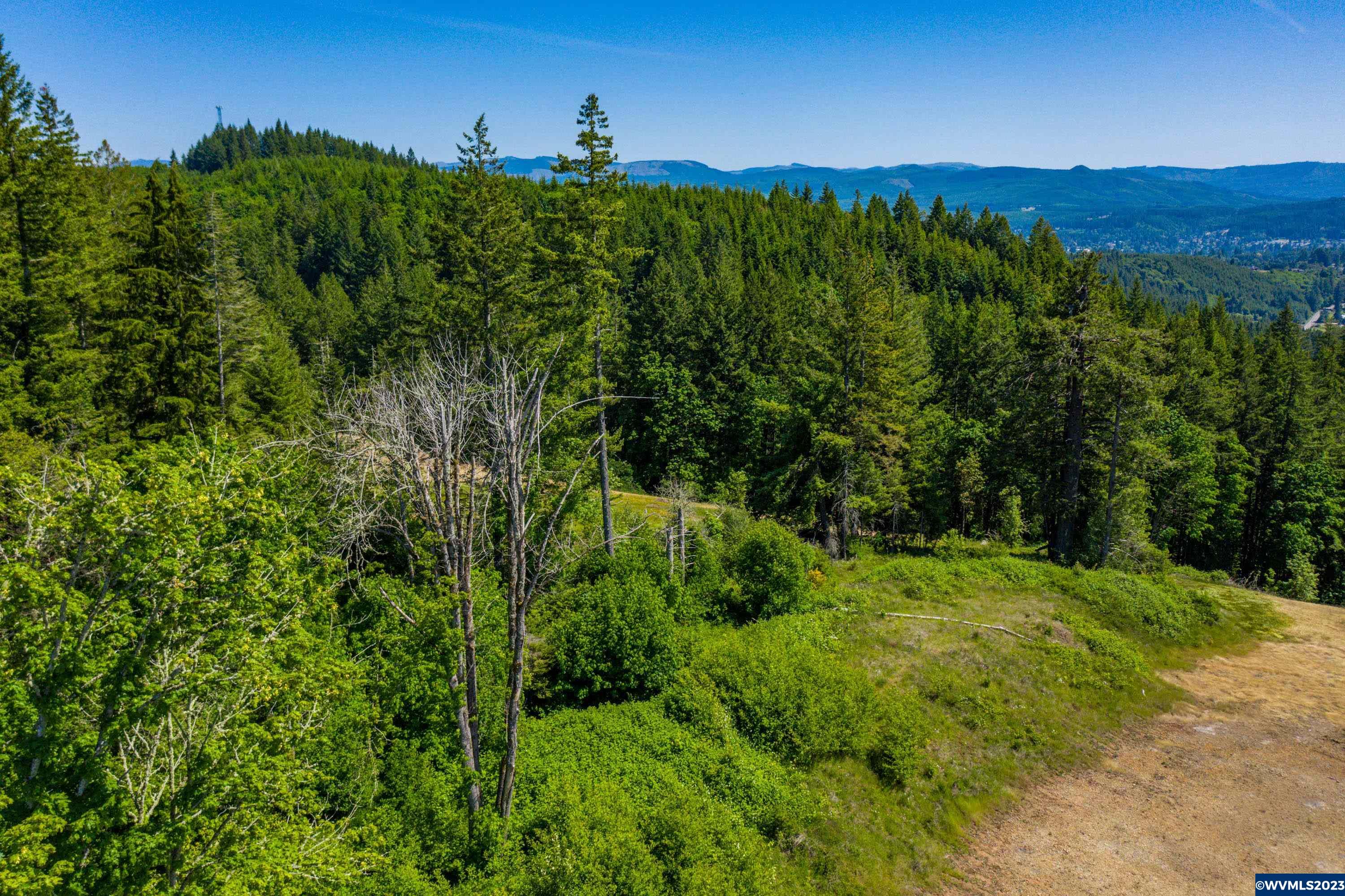 Marks Ridge Sweet Home, OR 97386 - Photo 18 of 32