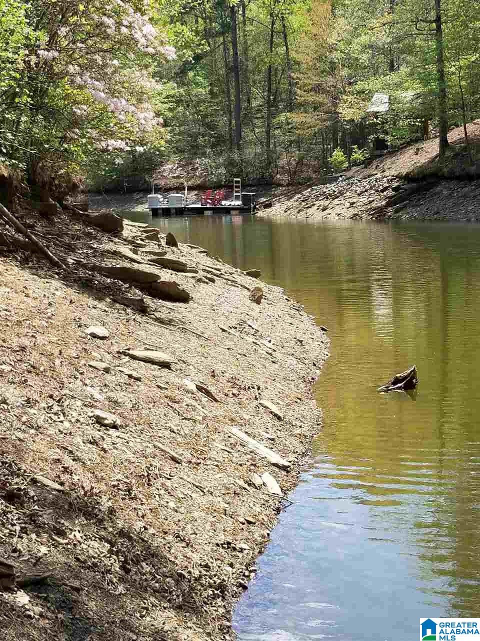 Lot 106 River Birch Road, Unit LOT 106 Wedowee, AL 36278 - Photo 11 of 14