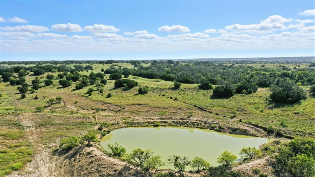 4595 County Road 368 Dublin, TX 76446 - Photo 10 of 32