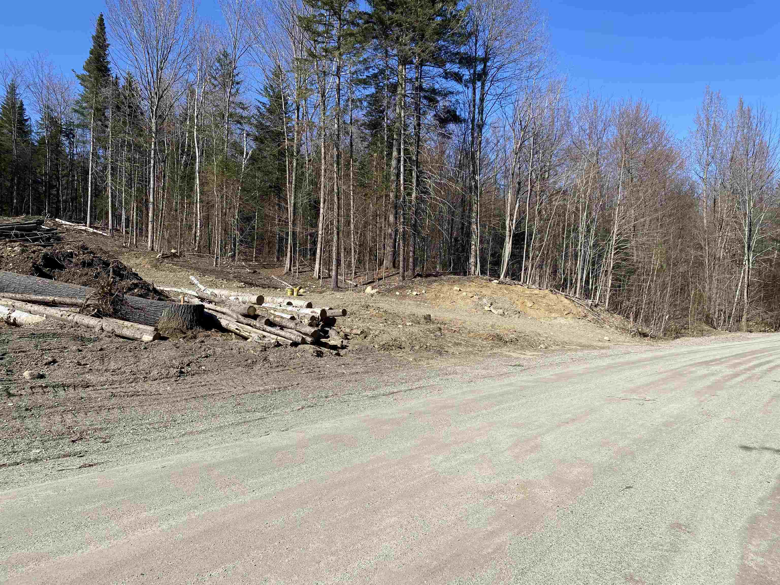 0 Camp Road, Unit 5 Eden, VT 05653 - Photo 6 of 17